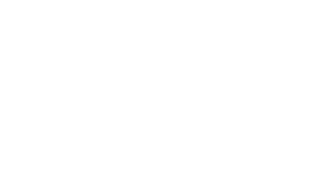 Réseau Volontaires Solidaris – Logo blanc sur transparent
