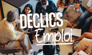 Declics-Emploi vignette logo mwp