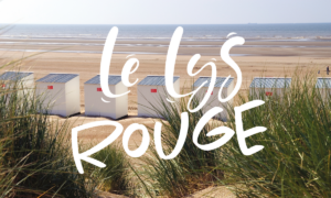 Lys rouge vignette logo mwp